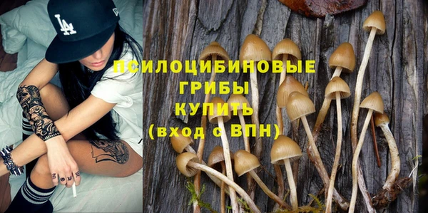 мескалин Баксан