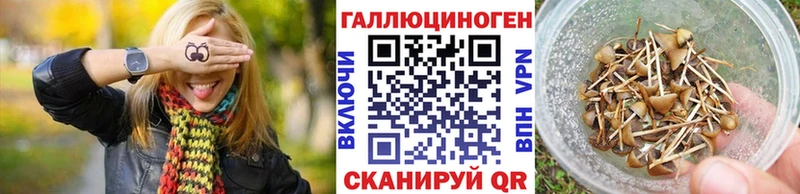 Галлюциногенные грибы Magic Shrooms Лосино-Петровский